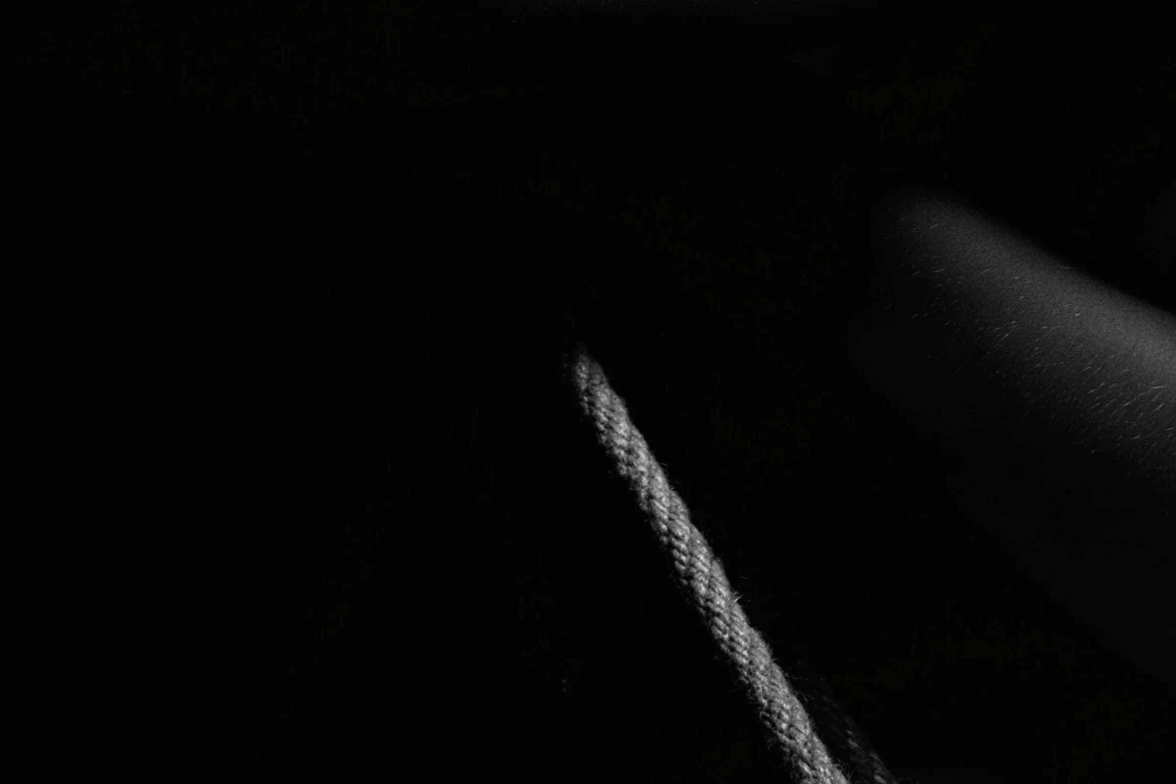 Diary and reflections in a D/s dynamic