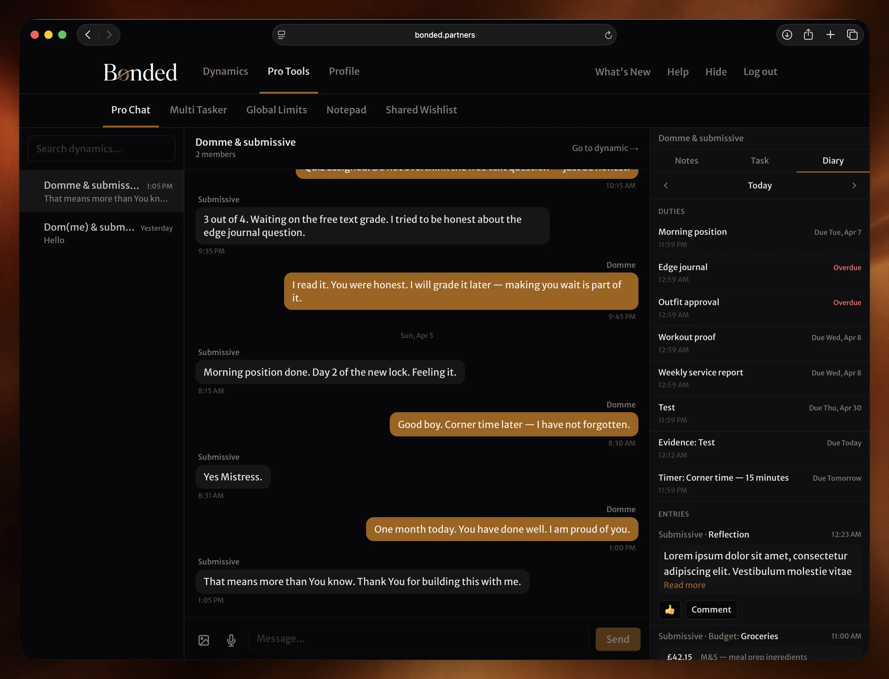 Pro Chat showing dynamic list, active conversation, and sidebar open to the Diary tab