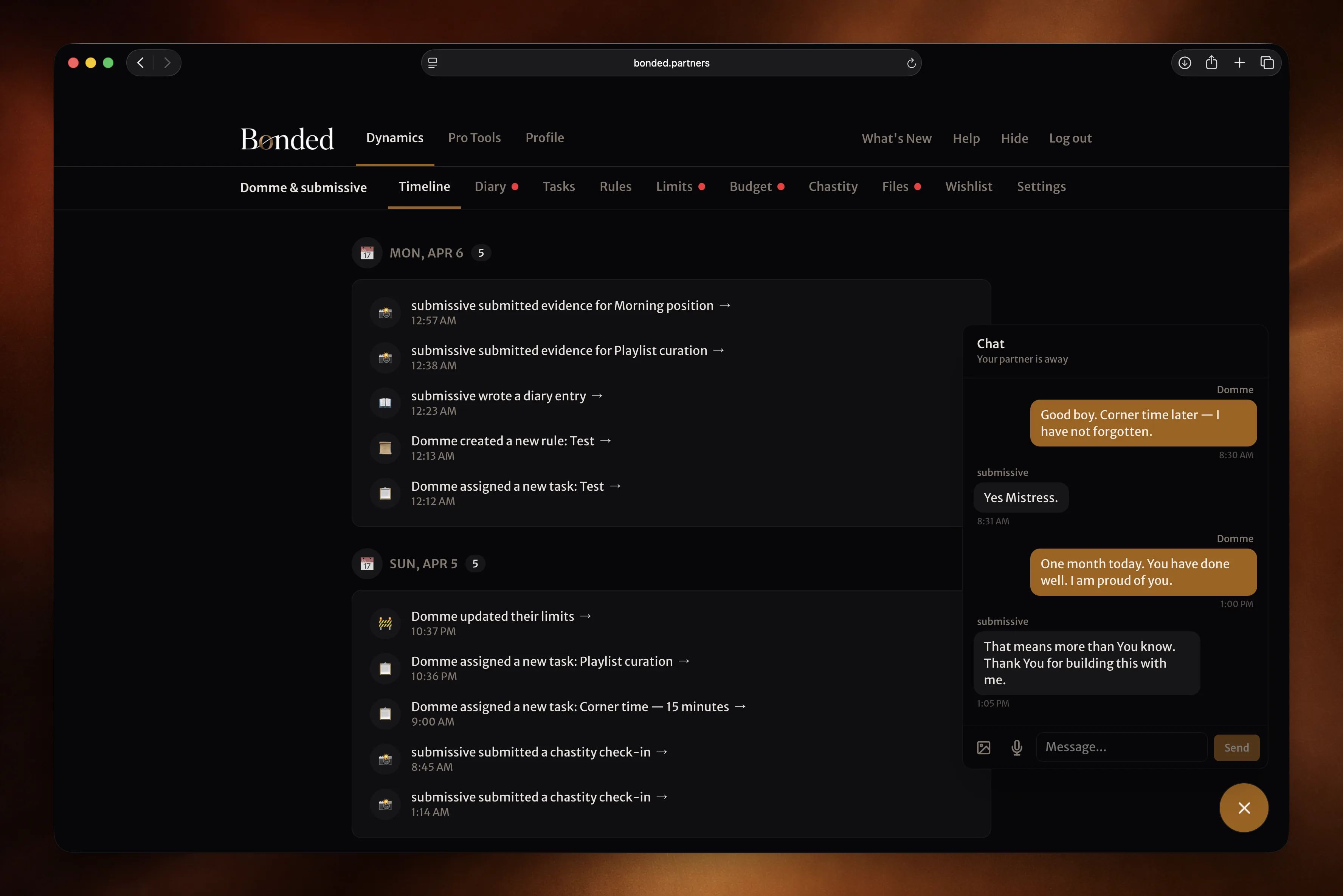 Chat conversation view with message bubbles